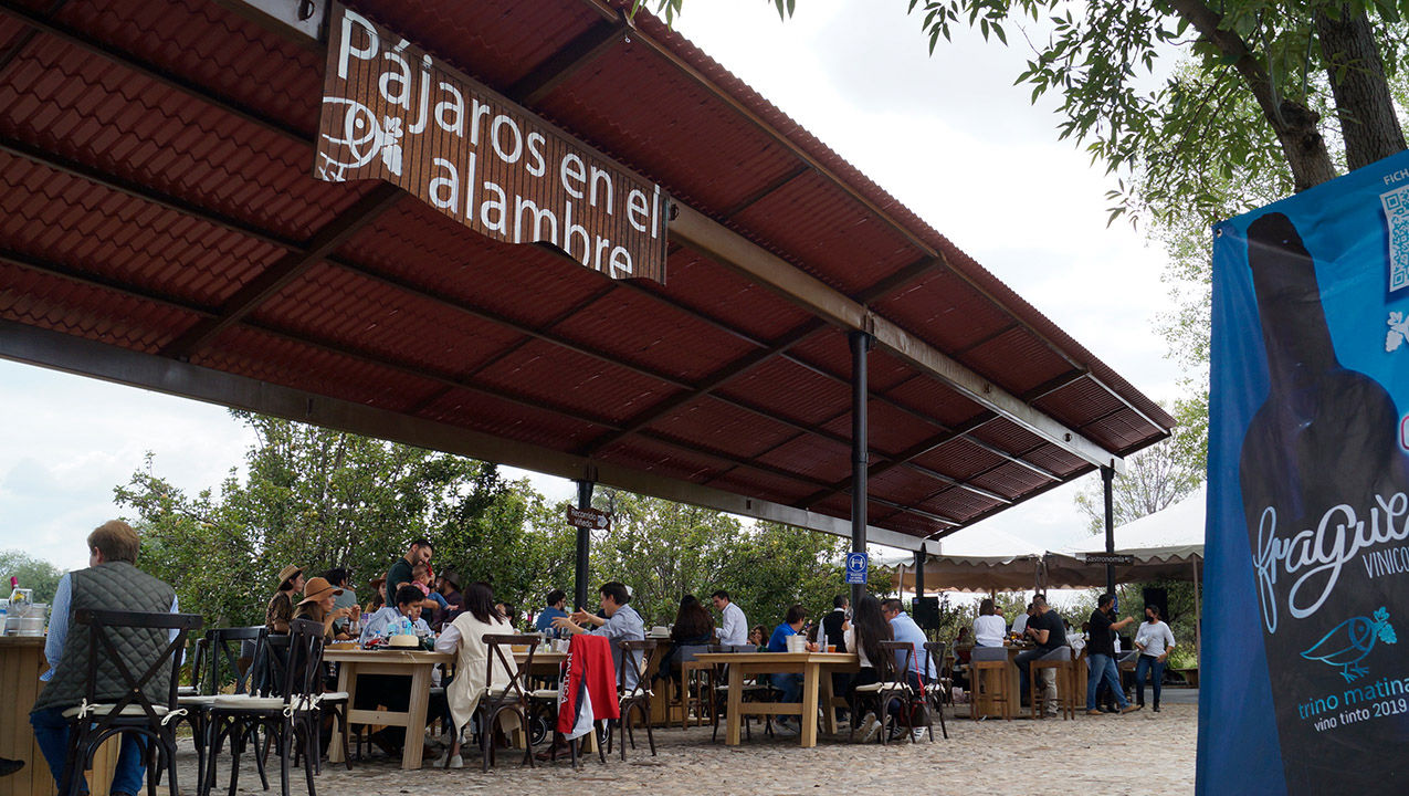 Vinicola Frague comida